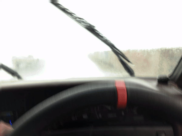 carinrain