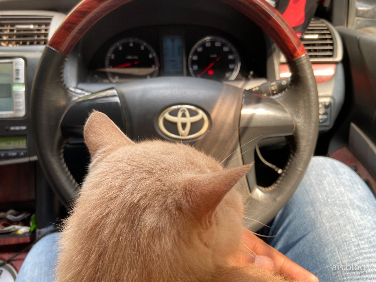 shot on iphone 11